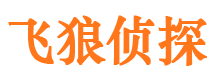 陇西市侦探公司